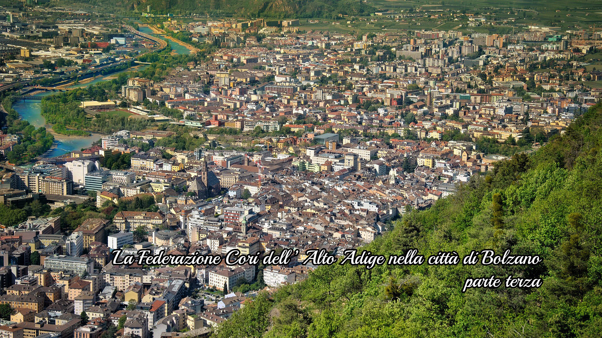 federcorialtoadige_terza.jpg